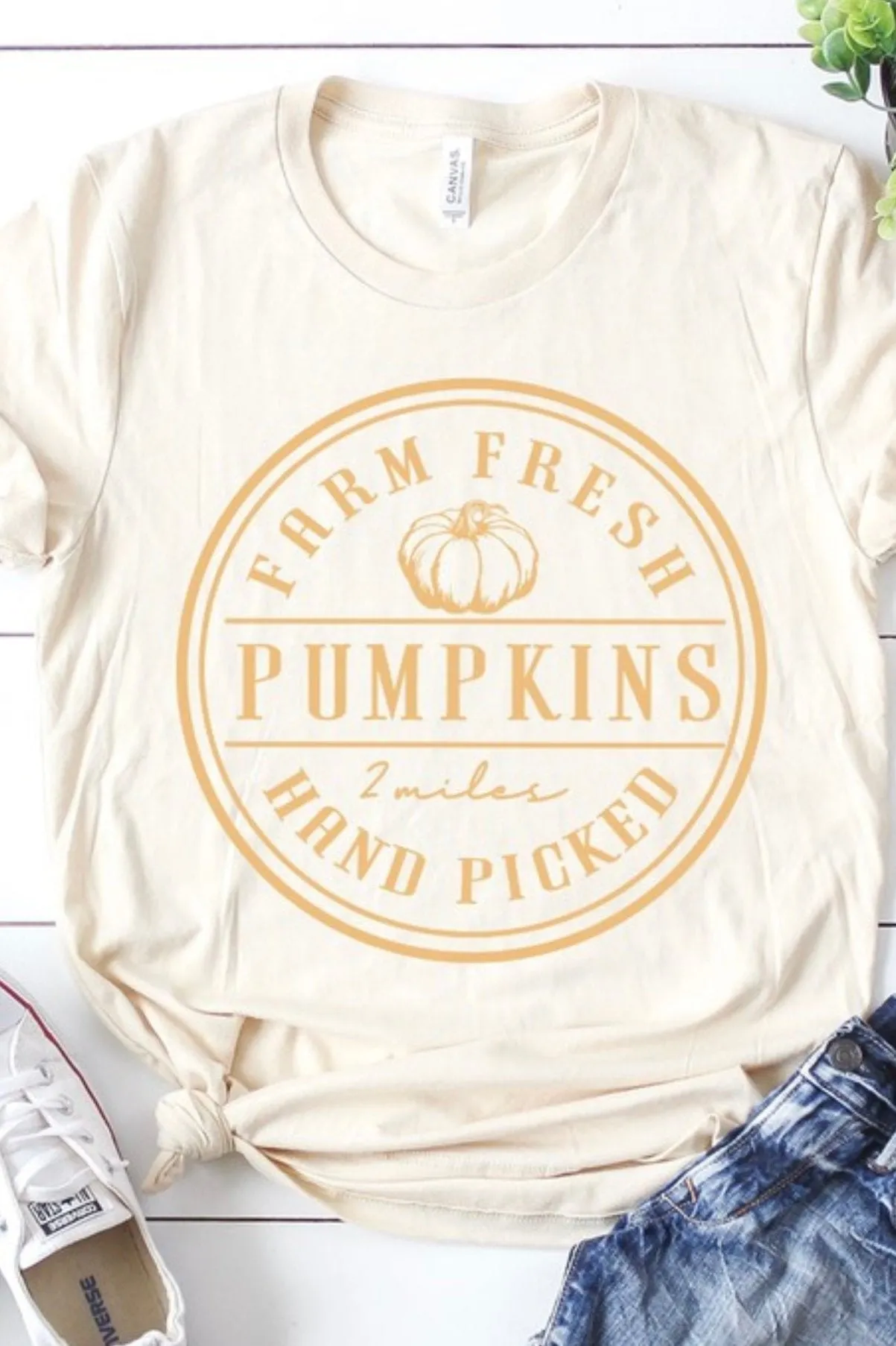 Farm Fresh Pumpkins Tee - 2 Colors!