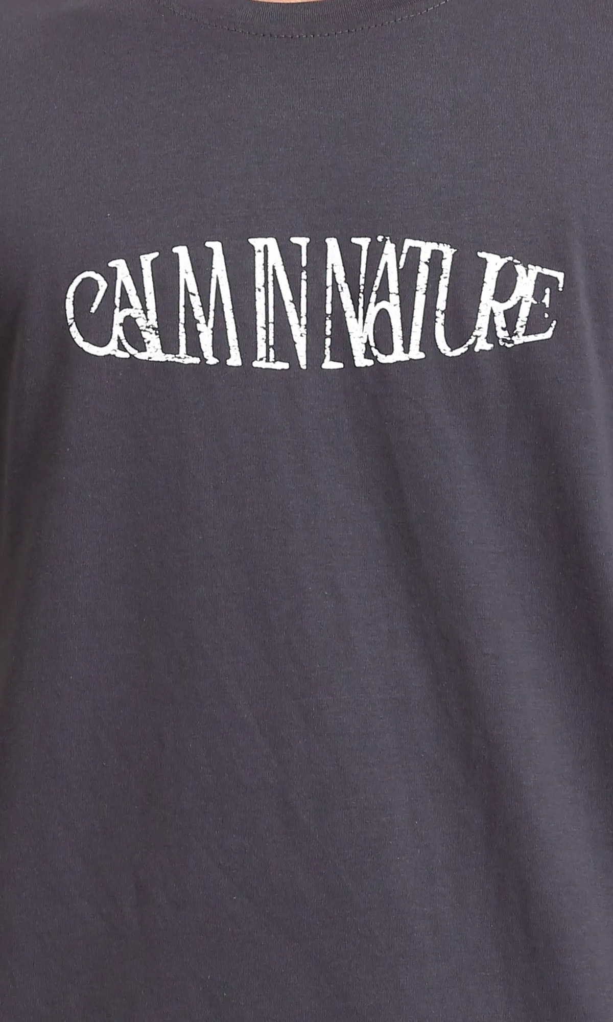 R208574 - Regular Fit Printed Slip On Tee - Dark Grey